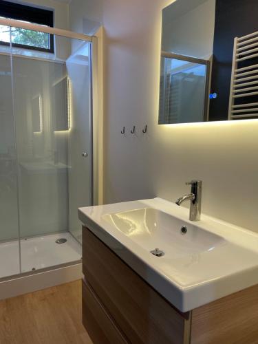 La salle de bains est pourvue d'un lavabo et d'une douche avec un miroir. dans l'établissement It Fugelnest, à Tzummarum