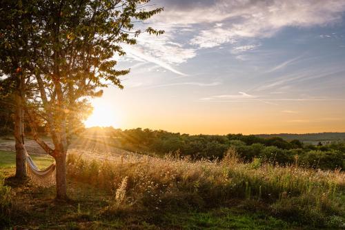 Domaine Villoire – Photos 3