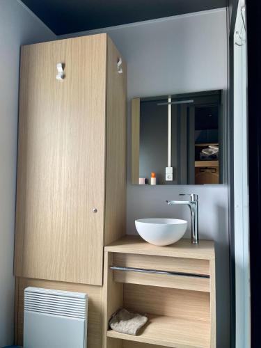 une salle de bain avec un lavabo et un miroir dans l'établissement Charming ecolodge with heated pool in Charente-Maritime, aux Mathes