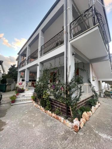 President House - Image 2