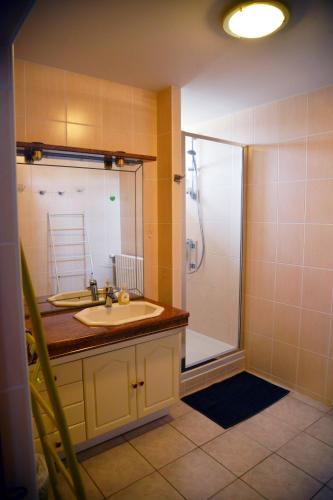 une salle de bain avec un lavabo et une douche dans l'établissement Gîte Osteis de 4 à 15 personnes au bord de l'Yonne, à Vincelottes