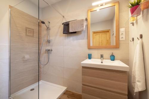 ein Bad mit einer Dusche, einem Waschbecken und einem Spiegel in der Unterkunft Boglárka Vendégház in Vasvár