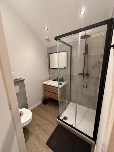 een badkamer met een douche, een toilet en een wastafel bij luxe pas gerenoveerd monumentaal appartement in Maastricht