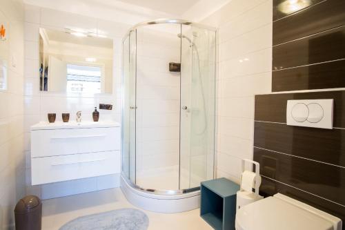 a bathroom with a shower and a toilet and a sink at Luxury Spa Apartment Luna in Njivice