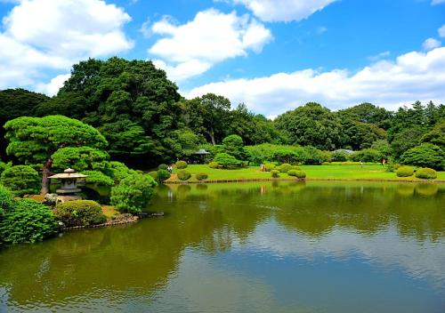 einen Teich in einem Park mit Bäumen und einem Feld in der Unterkunft APA Hotel Shinjuku Gyoemmae in Tokio