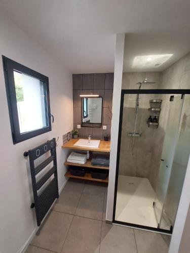 une salle de bain avec un lavabo et une douche dans l'établissement L'atelier du Guette-Loup, à Thouaré-sur-Loire