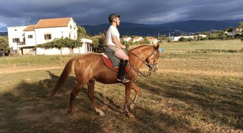 a man riding a horse in a field at Casa do Tio João in Seia