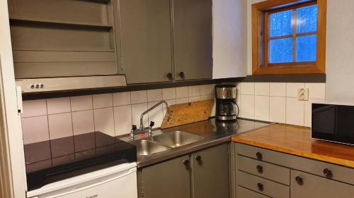 a kitchen with a sink and a counter top at Vikinggård Cottages in Höljes