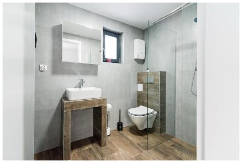 a bathroom with a toilet and a sink and a shower at Świętokrzyskie Zacisze in Wołów