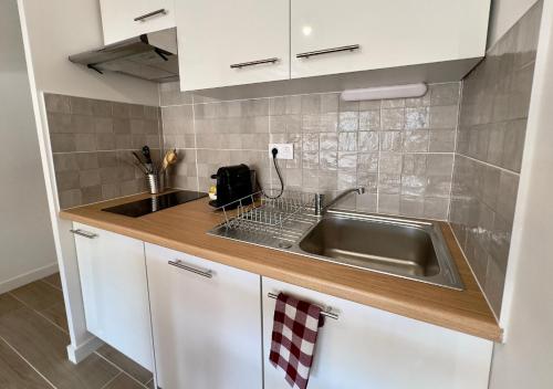 une cuisine avec un évier et un plan de travail dans l'établissement Biscawaï studio spacieux et cosy, à Biscarrosse