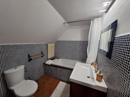 une salle de bain avec toilettes, lavabo et baignoire dans l'établissement Les Combles de Bagnères, à Bagnères-de-Bigorre