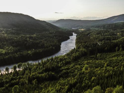 an aerial view of a river and forests at Vikinggård Cottages in Höljes