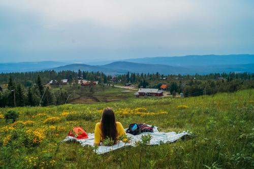 a woman sitting on a blanket in a field of flowers at Vikinggård Cottages in Höljes