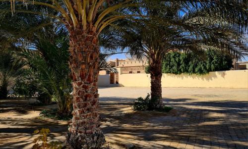two palm trees with a building in the background at Maison d'hôtes "Dar Khalifa" in Tozeur