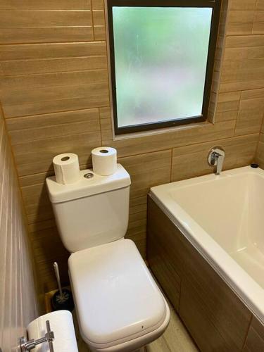 a bathroom with a toilet and a sink and a window at Falcon Lodge Bela Bela in Bela-Bela
