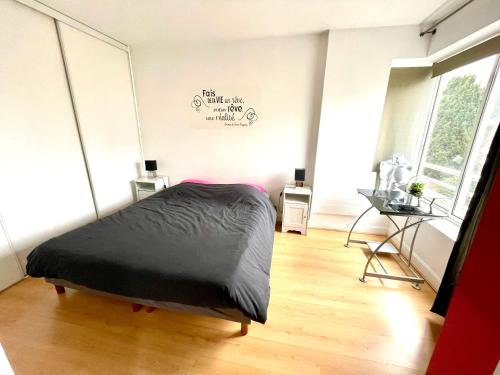 a bedroom with a bed with a black comforter at Charmant appartement en bord de Cher in Saint-Avertin