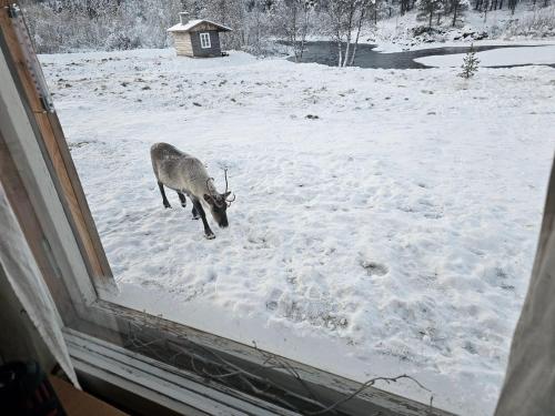 Leppälän vanhatupa rantasaunalla semasa musim sejuk