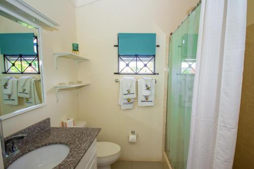 a bathroom with a shower and a sink and a toilet at Ocho Rios Drax hall Manor 3 Bed sleeps 7 in Saint Annʼs Bay