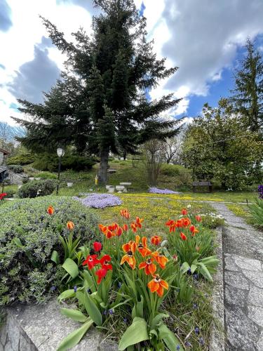 a garden with red and orange flowers and a tree at Mazzetti Country House-Vita in campagna con giardino in Vimignano