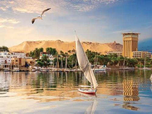 a white sail boat in the water with a bird at القارب في نهر النيل in Aswan