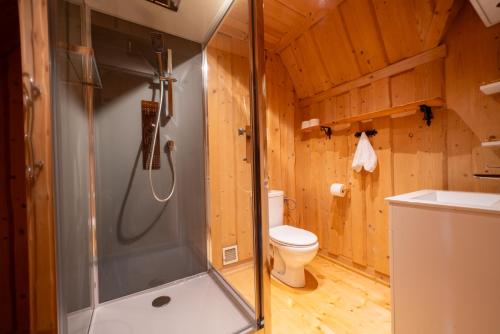 a bathroom with a shower and a toilet at Miętowa Osada Czerwienne in Ciche