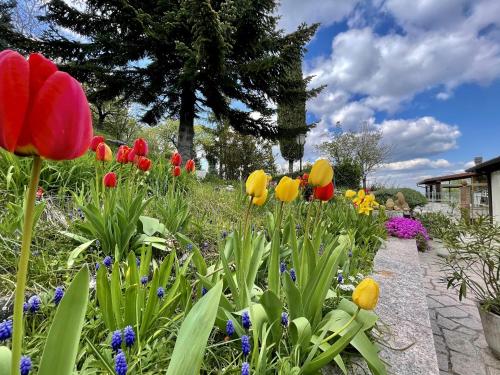 a garden with colorful flowers and a pathway at Mazzetti Country House-Vita in campagna con giardino in Vimignano
