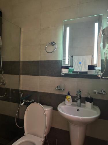 a bathroom with a sink and a toilet and a mirror at Family Hotel Vere Tower in Tbilisi City