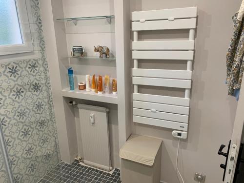 La salle de bains est pourvue d'une douche, de toilettes et d'une étagère. dans l'établissement Le jasmin du Riou, à Cannes