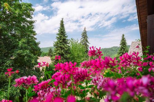 a garden filled with pink flowers and trees at Apartment am Tannenweg in Badenweiler