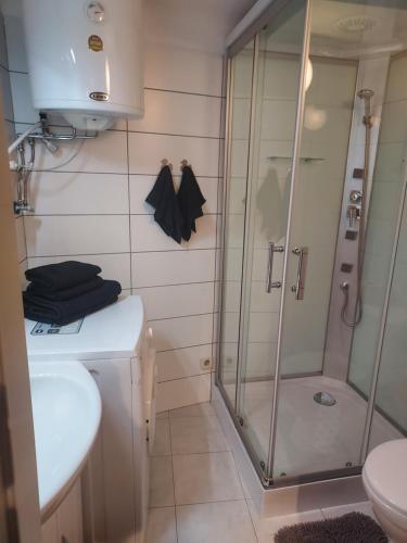 a bathroom with a shower and a sink and a toilet at Bonitoapartamento-Vienna in Vienna