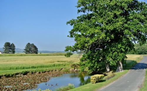 a tree and a river next to a road at Gîte Les Chênes in Villeneuve-les-Sablons