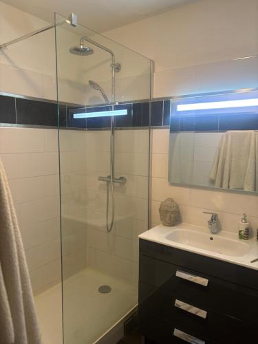 une salle de bain avec une douche en verre et un lavabo dans l'établissement Maison de ville - versailles château, à Versailles