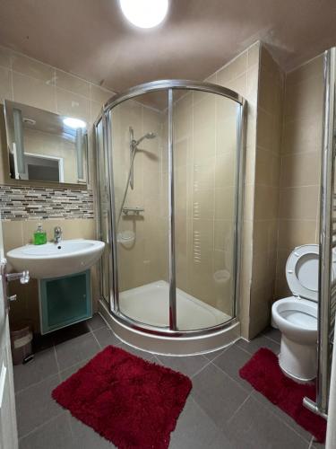 a bathroom with a shower and a toilet and a sink at Cheerful 2 Bedroom Bungalow fully Furnished in Bradenham