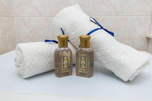 トリノにあるLoft “Green & Relax” [in the heart of Turin]のバスルームのシンクに石鹸とタオルを2本用意しています。