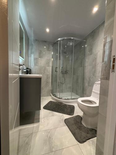 a bathroom with a glass shower and a toilet at Exquisite 2 Bedroom Fully Furnished Annex in Bradenham