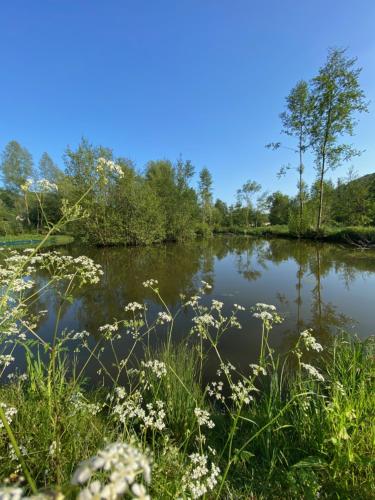 Un lac avec des fleurs blanches au premier plan dans l'établissement MA CHAMBRE - Pressoir, à Fiquefleur-Équainville