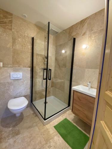 une salle de bain avec une douche, des toilettes et un lavabo dans l'établissement MA CHAMBRE - Pressoir, à Fiquefleur-Équainville