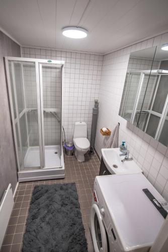 a bathroom with a shower and a sink and a toilet at Sea view Holmestrand sauna and hot tube appartment in Holmestrand