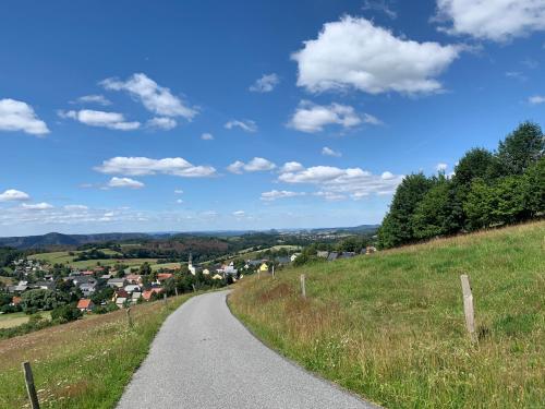 a winding road in the countryside on a sunny day at Gasthof zur Hoffnung in Hinterhermsdorf