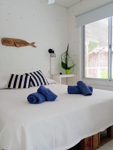 a bedroom with a white bed with blue pillows on it at Casa quinta de rio dos in Tigre