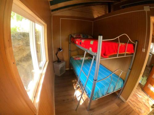 Cette petite chambre dispose de 2 lits superposés et d'une fenêtre. dans l'établissement La madriguera de Yuyito en Conguillio, à Melipeuco