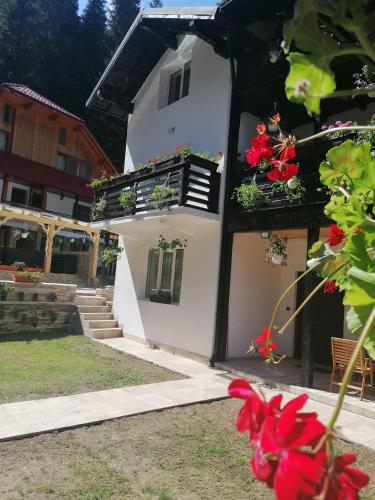 Gallery image of Casa de vacanta Padina in Moroeni