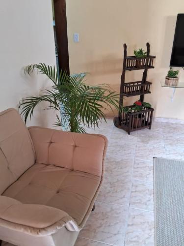 a living room with a couch and a plant at Recanto das Neves in Miguel Pereira
