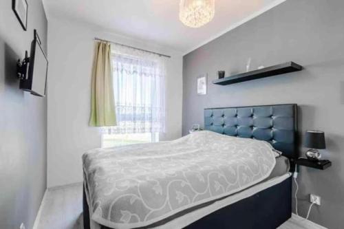 a bedroom with a large bed and a window at Central Apartments & Wal25C in Gdańsk