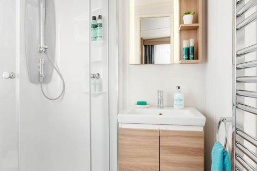 a bathroom with a sink and a mirror at The CaraPod & HotTub - KINTYRE in Tarbert