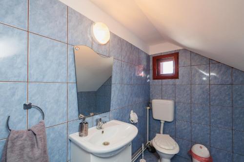 uma casa de banho em azulejos azuis com um lavatório e um WC em Cabana Rus-Beliș em Dealu Negru