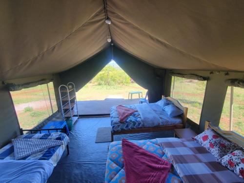 ein Zelt mit zwei Sofas und einem Bett darin in der Unterkunft ilkerin camp maasai mara in Sekenani