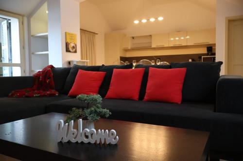 a living room with a black couch with red pillows at Central Terrace Escape with Jacuzzi in Timişoara