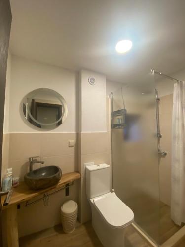 bagno con lavandino, servizi igienici e specchio di Star Dust a Shiroka Laka