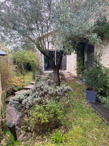 a tree in the middle of a garden at Aux quatre coins du monde in Champvoux